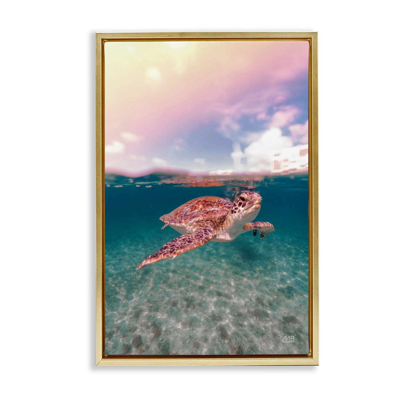 Stupell Industries Above & Below Sea Turtle Framed Floater Canvas Wall Art Design by Max Blakesberg Studios